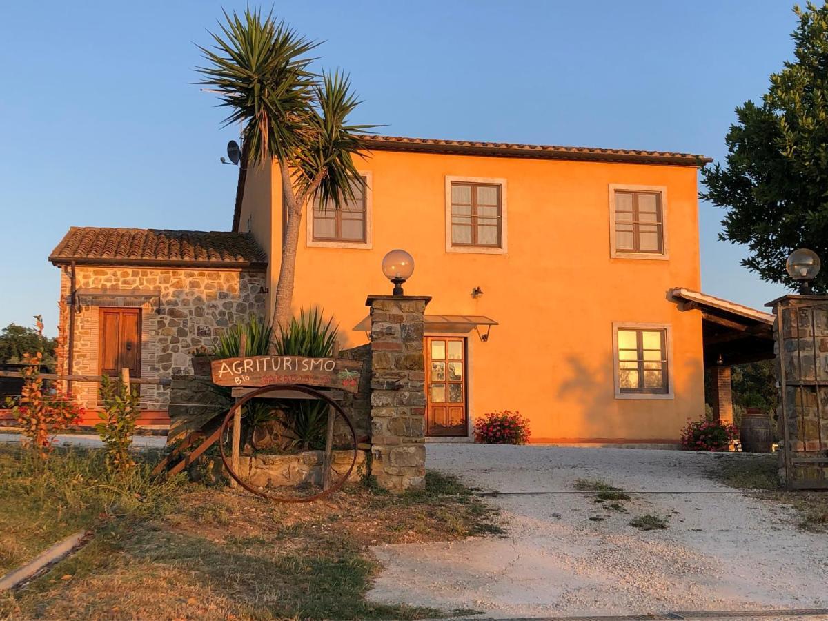 הוילה מונטמראנו Agriturismo Il Saragiolo מראה חיצוני תמונה